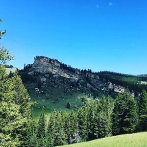 Meet your Posher, Ann